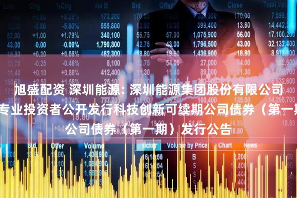 旭盛配资 深圳能源: 深圳能源集团股份有限公司2025年面向专业投资者公开发行科技创新可续期公司债券（第一期）发行公告
