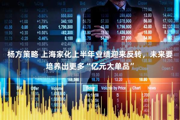 杨方策略 上海家化上半年业绩迎来反转，未来要培养出更多“亿元大单品”